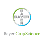 Bayer